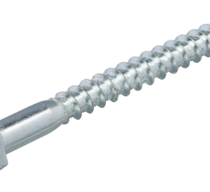 HOUTDRAADBOUT VZ 4.6 SW-19 DIN571 12X80 50ST/DOOS